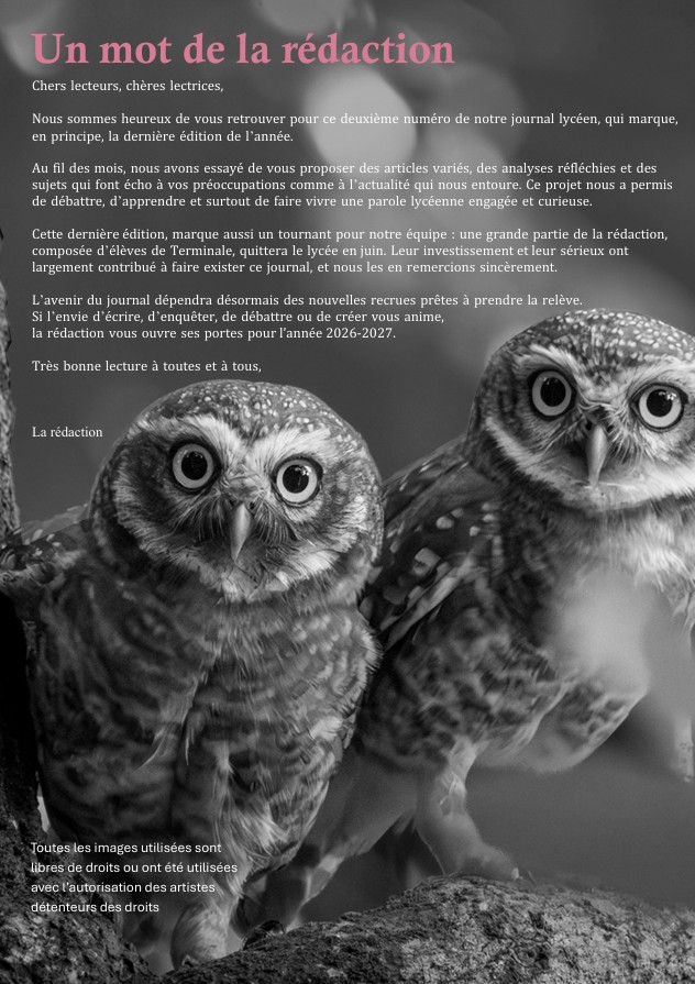 Photo en noir et blanc montrant deux chouettes